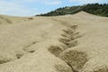 Landscape with cracked soil. Ground shape created by muddy volcanoes and natural-gas eruptions in Berca, Paclele Mari near Buzau