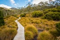 Landscape of Cradle mountain Tasmania, Australia