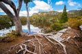 Landscape of Cradle mountain Tasmania, Australia.