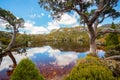 Landscape of Cradle mountain Tasmania, Australia.