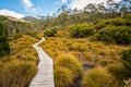 Landscape of Cradle mountain Tasmania, Australia.