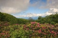 Landscape Craggy Gardens Overlook BRP NC