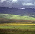 Landscape of crater ngoro ngoro in tanzania