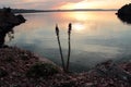 Landscape from Croatian beach Royalty Free Stock Photo