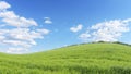 Landscape with a curved horizon line. Meadow with bright green grass, blue sky with white clouds.  background Royalty Free Stock Photo