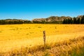 Landscape of cut hay field and boader trees and rock hills Royalty Free Stock Photo