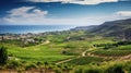 landscape cyprus vineyards terraced Royalty Free Stock Photo