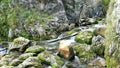 Landscape of Dachserfall Waterfall next to village Abtenau Austria