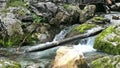 Landscape of Dachserfall Waterfall next to village Abtenau Austria