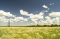 Landscape with daisywheel on background blue sky