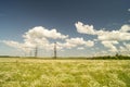 Landscape with daisywheel on background blue sky