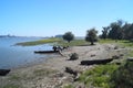 Landscape from the Danube delta with boats and horse with cart, Romania Delta Dunarii Royalty Free Stock Photo