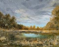 Landscape In Danube Delta Oil Painting