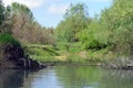Landscape in the Danube Delta Royalty Free Stock Photo