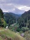 landscape - dark green forest on Pohorje Mountains. Slovenia. Europe