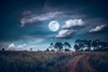 Landscape of dark night sky with clouds. Beautiful bright full moon above wilderness area in forest Royalty Free Stock Photo