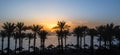 Landscape dawn palm trees and a beach with umbrellas in Egypt