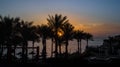 Landscape dawn sky palms and hotel in egypt