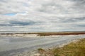 Landscape of dead salt lake. Altai, Russia