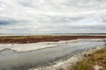 Landscape of dead salt lake. Altai, Russia