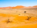 Landscape with dead trees and red dunes of Namib Desert, Namib-Naukluft National Park, Namibia, Africa Royalty Free Stock Photo