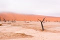 Landscape of Dead Vlei, Namibia Royalty Free Stock Photo