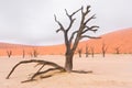 Landscape of Dead Vlei, Namibia Royalty Free Stock Photo