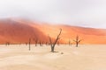 Landscape of Dead Vlei, Namibia Royalty Free Stock Photo