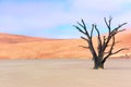 Landscape of Dead Vlei, Namibia Royalty Free Stock Photo