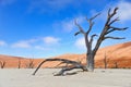 Dead Vlei, Namibia, South Africa Royalty Free Stock Photo