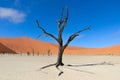 Dead Vlei, Namibia, South Africa Royalty Free Stock Photo