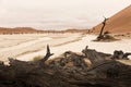 Landscape of Dead Vlei, Sossusvlei, Namib desert, Namibia, South Royalty Free Stock Photo