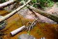 Panoramic view of small waterfalls streaming into small pond in green forestLandscape with deep forest river stream water flow. Mo