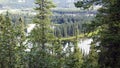 Landscape in Denali National Park in route ton Kantishna, Alaska, Estados Unidos