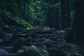 Landscape of dense mountain forest and magic path between the roots of trees.