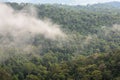 Landscape of dense tropical rainforest at Khao Yai national park