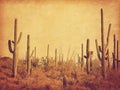 Landscape of the desert with Saguaro cacti. Photo in retro style. Added paper texture. Toned image Royalty Free Stock Photo
