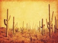 Landscape of the desert with Saguaro cacti. Photo in retro style. Added paper texture. Toned image Royalty Free Stock Photo