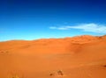 Landscape of the desert Sahara