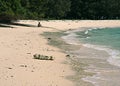 Landscape of an almost deserted beach in a secret island in Thailand