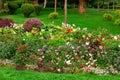 a landscape design colorfully flowerbed with lots flowers and bushes.