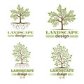 Landscape design company emblems. Tree with roots logo Royalty Free Stock Photo