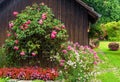 Landscape design with flowerbed at residential house Royalty Free Stock Photo