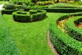 Landscape design hedge of trimmed boxwood.