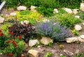 Landscape design in home garden, landscaping with flowers, plants and stones Royalty Free Stock Photo