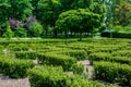 Landscape design of a maze of green bushes of hedge. Royalty Free Stock Photo