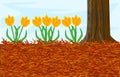 Mulch gardening concept with tulip, red mulch and tree trunk.