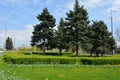 Landscape design of nature green, grass, dense bushes, large Christmas trees, firs and flowers.