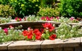 Landscape design of nice home garden Royalty Free Stock Photo