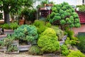 Landscape design with stones, plants and flowers at residential house Royalty Free Stock Photo